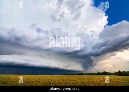 A dramatic shelf cloud approaching ahead of a severe thunderstorm over a field near Alva, Oklahoma Stock Photo