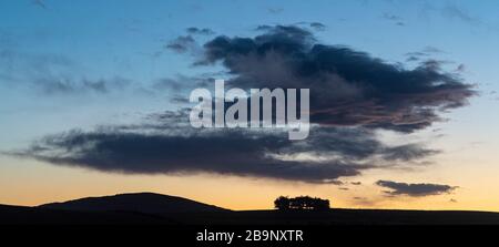 Sunset landscape at a hilly landscape with trees at the Otago coastline of New Zealand south island, forming a nice silhouette Stock Photo
