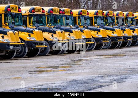 Student transportation, several yellow school buses parked in a bus depot, Ontario, Canada Stock Photo