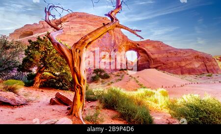 Dead Tree in front of The Ear of The Wind, a hole in a rock formation in Monument Valley Navajo Tribal Park on the border of Utah and Arizona, USA Stock Photo