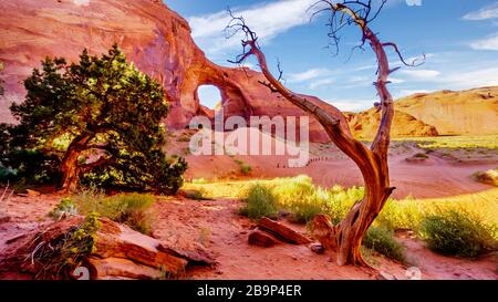 Dead Tree in front of The Ear of The Wind, a hole in a rock formation in Monument Valley Navajo Tribal Park on the border of Utah and Arizona, USA Stock Photo