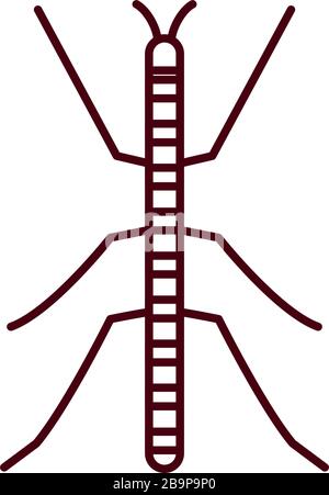 stick insect icon over white background, flat style, vector ...