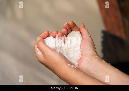 Human hands holding crystals of freshly harvested sea salt Stock Photo