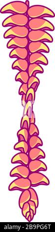 vector handdrawn cute plant clip art exotic flower Stock Vector