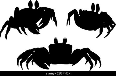 vector cartoon animal clip art atlantic ghost crab Stock Vector