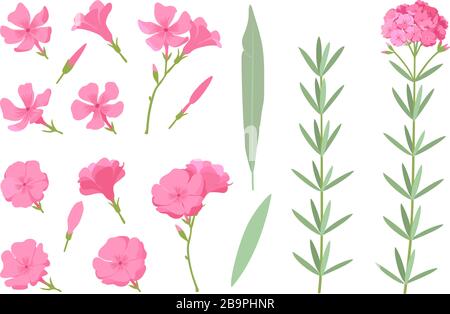 vector handdrawn plant clipart Oleander flowers set Stock Vector