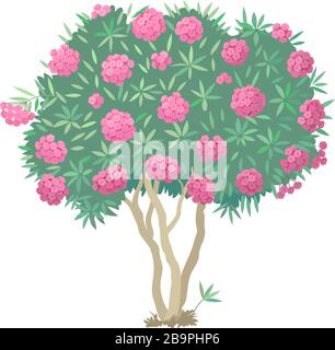 vector handdrawn plant clipart blooming Oleander tree Stock Vector