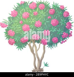 vector handdrawn plant clipart blooming Oleander tree Stock Vector