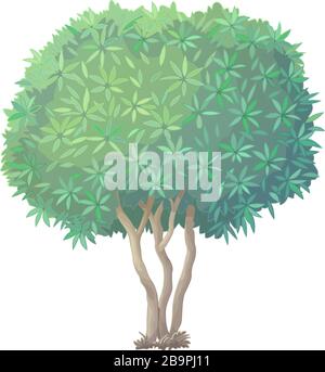 vector handdrawn plant clipart Oleander green tree Stock Vector