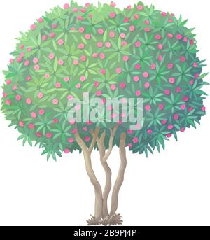 vector handdrawn plant clipart blooming Oleander tree Stock Vector