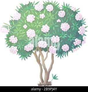 vector handdrawn plant clipart blooming Oleander tree Stock Vector