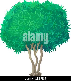 vector handdrawn plant clipart Oleander green tree Stock Vector