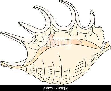 vector sea beach object clip art. Shell, seashell Stock Vector
