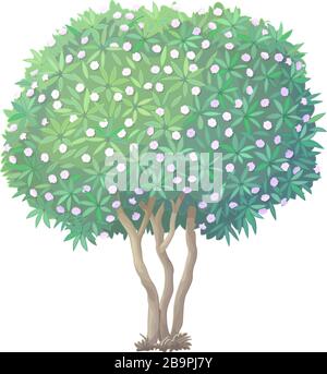 vector handdrawn plant clipart blooming Oleander tree Stock Vector