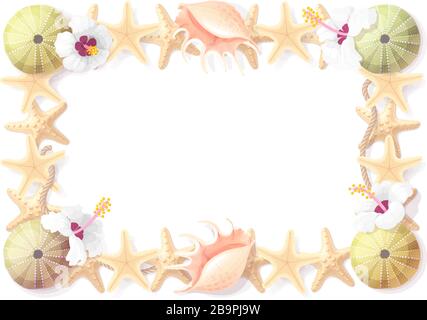vector tropical seashell frame clip art. Geometric pattern Stock Vector