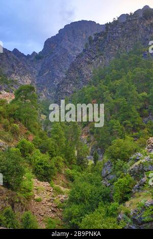 Landscape with rocks  and green trees in Goynuk Canyon, Turkey Stock Photo
