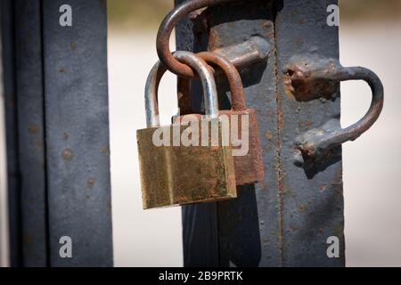 pair of rusty old locks on gate Stock Photo
