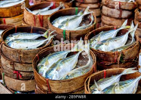 Fresh Mackerel for sale in a bamboo basket, Thailand Stock Photo