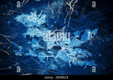 In a small puddle surrounded by withered grass, the water froze and turned into sharp, transparent, shining ice. Stock Photo