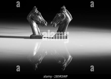 Close up photo of white chess pieces isolated on a white background. Vintage asia style. Illuminated by a reflector with a long shadow behind it. Stock Photo