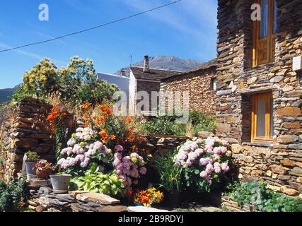 House. Valverde de los Arroyos, Guadalajara province, Castilla La Mancha, Spain. Stock Photo