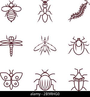 bee and insect concept icon set over white background, line style, vector illustration Stock Vector