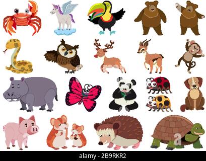 Large set of wild animals on white background illustration Stock Vector ...