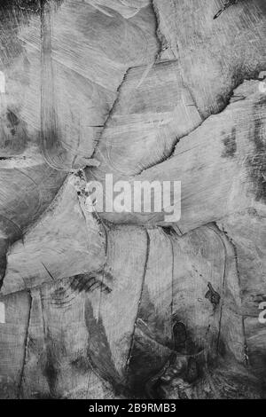 Cutted tree trunk in black and white Stock Photo - Alamy