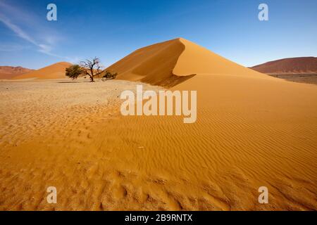 Dune 45 in Sossusvlei Area, Namib Naukluft Park, Namibia Stock Photo