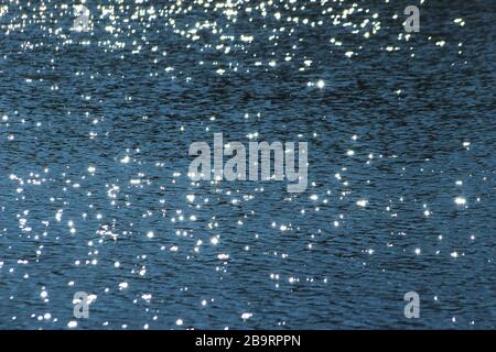 The background image is a turquoise water surface and the water surface reflects the glittering sun. Stock Photo
