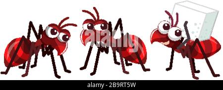 Three little red ants on white background illustration Stock Vector