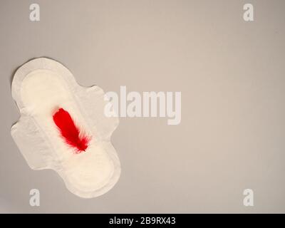 Menstrual pad with red feather on gray background. Minimalist still life photography concept. Women critical days, gynecological menstruation cycle. Stock Photo