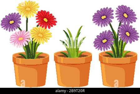 Three clay pots with beautiful flowers on white background illustration Stock Vector