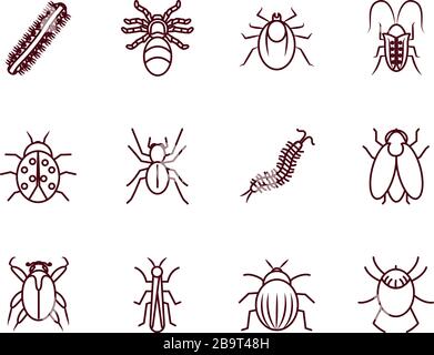 spider and insect icon set over white background, flat style, vector ...