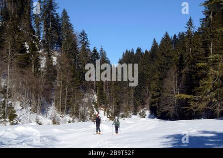 Fieberbrunn, Austria - March 4th 2011: unidentified couple enjoy cross country skiing in snowy landscape in Tyrolean alps Stock Photo