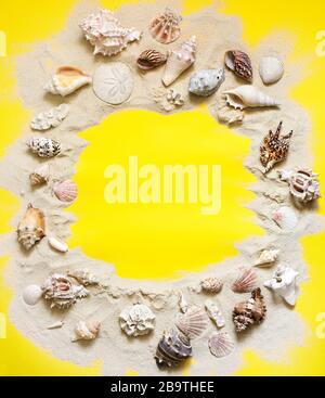 Exotic seashells and starfish collection flat lay on a yellow background, copy space Stock Photo