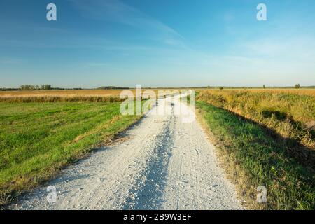 Gravel road through the meadow, horizon and blue sky, view in sunny day Stock Photo