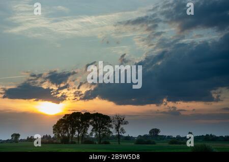 Setting sun behind the clouds and large trees on the meadow Stock Photo
