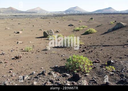 Volcanic landscape in the eastern part of Timanfaya National Park, Lanzarote, Canary Islands, Spain Stock Photo