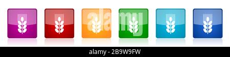Grain icon set, colorful square glossy vector illustrations in 6 options for web design and mobile applications Stock Vector