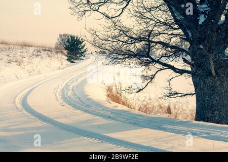 A road winds through the snow between trees in winter Stock Photo