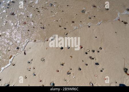 Sandy bottom on the seashore with water, pebbles and shells as a background Stock Photo