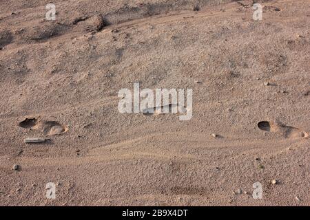 Imprints of shoes on sand. Lonely human footprints on a sandy surface Stock Photo