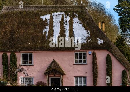 Rose Cottage in Cockington Country Park, near Torquay, Devon, UK. March 2018. Stock Photo