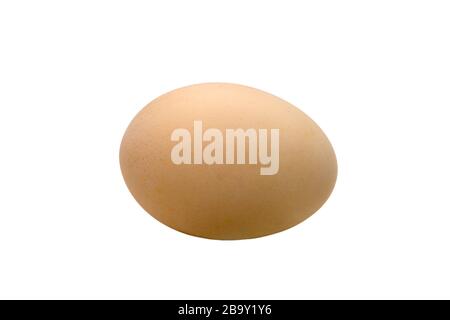 image of a chicken one egg cream color on a white background Stock Photo