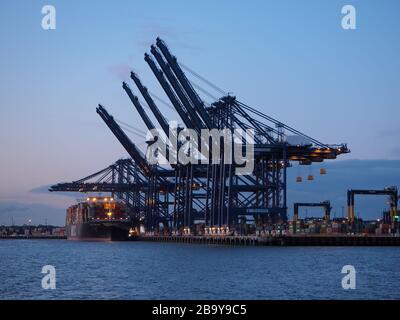 Port of Felixstowe, Suffolk, UK, March 8 2020: Cranes loading containers onto the MSC Kalina cargo ship at dusk Stock Photo