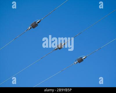 Overhead 11kv high voltage three phase electricity distribution cable connectors. Stock Photo