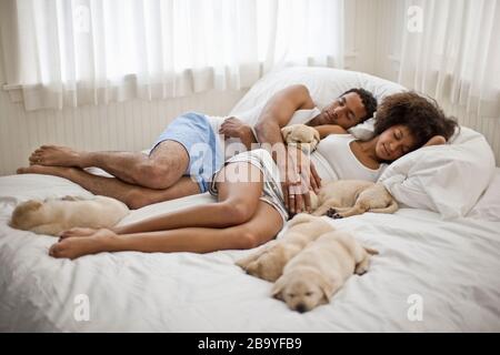 Labrador puppies sleep next to affectionate couple. Stock Photo