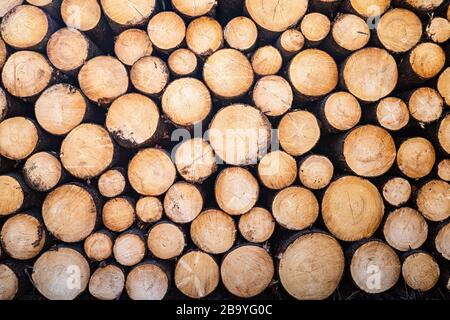 stack of many small firewoods Stock Photo