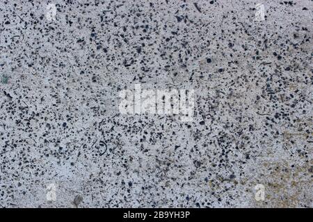 Texture of gray concrete with small stones. Background image of old cement. Stock Photo